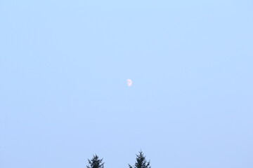 Moon