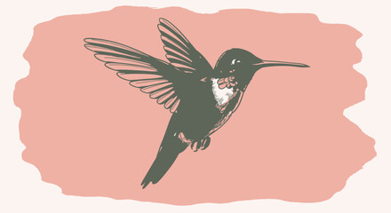 Obraz premium A stylized illustration of a hummingbird in flight against a soft pink background.