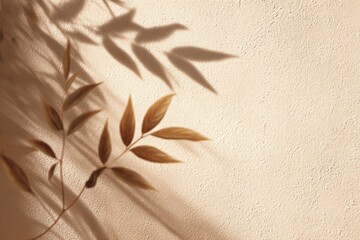 Warm beige wall with leaf shadows