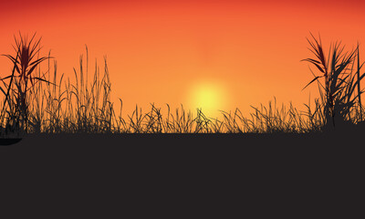 Obraz premium Tall grass field in silhouette against a vivid orange sunset