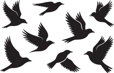 Fototapeta premium A collection of black bird silhouettes in various flight poses. Vector graphic illustration set of a flock of birds.