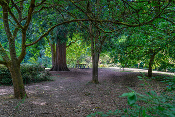 Park Arboeretum Trees