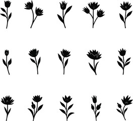 Artistic black silhouette floral collection with transparency featuring various flower designs