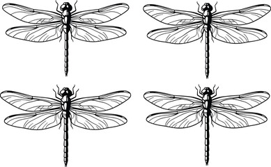 Dragonfly silhouette set, black and white, detailed wings, symmetrical body, insect vector, nature, flying bug, entomology, grid layout