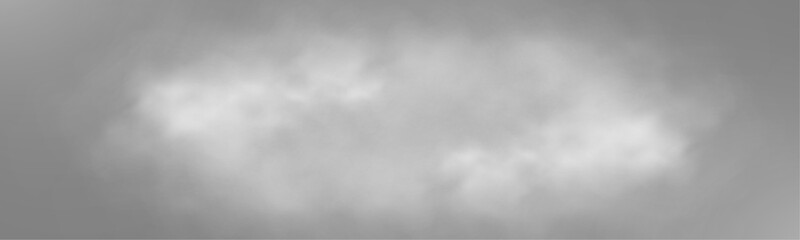 Realistic white smoke or mist effect with soft, swirling patterns on a transparent background. Perfect for overlays and atmospheric designs.