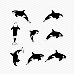 A collection of eight stylized black and white orca illustrations, showing the marine mammals in various dynamic swimming and jumping poses.