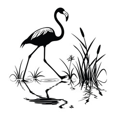 Flamingo in Reeds Silhouette
