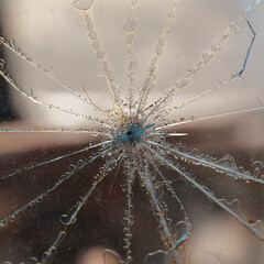 Passenger side window with spider-like bullet hole on a very rusty 1950's car with parts removed in a small town in Texas