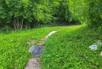 A peaceful path through a vibrant green landscape, surrounded by lush trees and foliage.