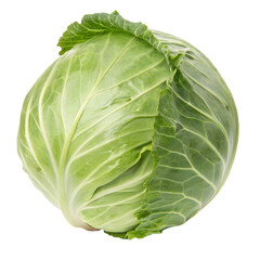 Obraz premium Fresh green cabbage isolated on transparent background