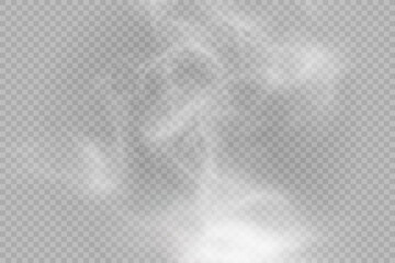 Realistic white smoke or mist effect with soft, swirling patterns on a transparent background. Perfect for overlays and atmospheric designs.