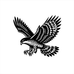 Obraz premium Eagle in flight illustration