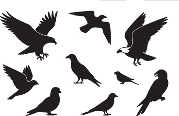 Obraz premium A diverse collection of bird silhouettes, including eagles, pigeons, and gulls. Vector icons set of flying and standing birds.