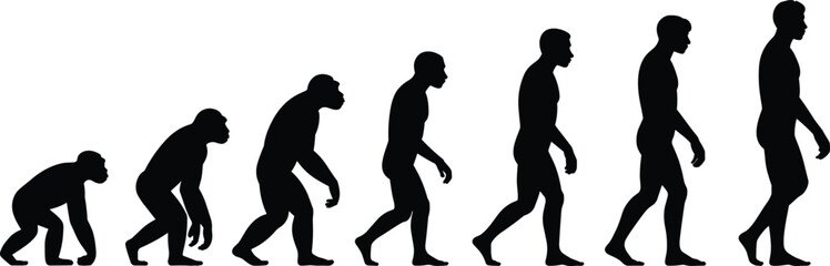Silhouette illustration of human evolution, showcasing the transformation from early hominids to modern humans in progressive stages