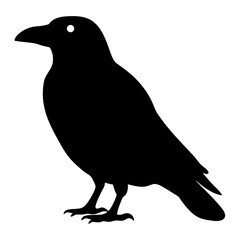 A silhouetted crow standing, isolated against a white background, simple graphic