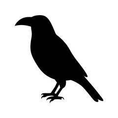 Silhouette of a Common Raven with a Sharp Beak and Fierce Claws