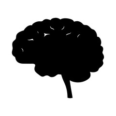 Black Brain Icon Silhouette on White Background, Simple black silhouette of a human brain, symbolizing intelligence, thinking, and mental processes, isolated on white background.
