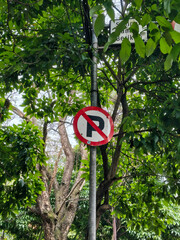Urban no parking regulation sign on a utility pole, viewed from a low angle with a lush green tree canopy.