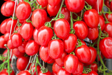 FRESH RED CHERRY TOMATOES ON THE VINE IN A TIGHT CLUSTER - Juicy and ripe organic vegetables ideal for healthy eating and cooking concepts