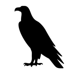 Striking Silhouette of a Majestic Eagle Standing Proudly in Sharp Contrast