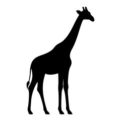 Silhouette of a giraffe standing against a bright white background image