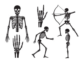 Skeleton poses set, vector