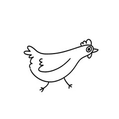 hand drawn of whimsical chicken, rooster, and hen illustrations