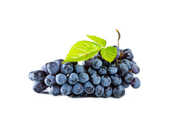 Bunch of blue grapes with leaves isolated on white background.