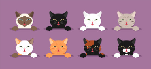 Obraz premium Cats with different fur colors. Cats of different colors. Vector illustration.