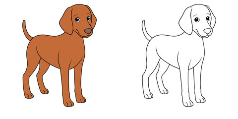 A lean Vizsla dog standing alert with short fur and long ears