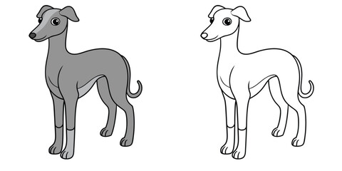 A slim Whippet dog standing in profile