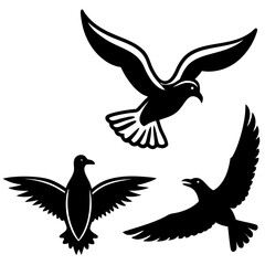 Obraz premium Three flying birds silhouette isolated on white background