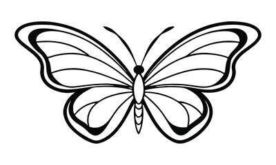 Detailed Butterfly Line Art, butterfly