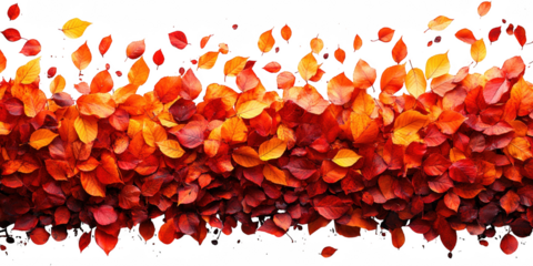 A vibrant cascade of autumn leaves in warm hues of red orange and yellow isolated on transparent background