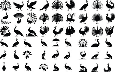 Peacock Silhouette with Spread Feathers – Majestic Bird Icon Elegant Peacock Icon – Open Feather Display Silhouette Set

