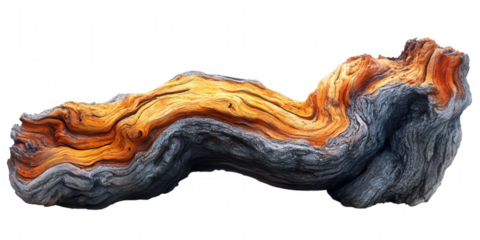 Abstract organic sculpture with fiery orange and earthy gray textures isolated on transparent background