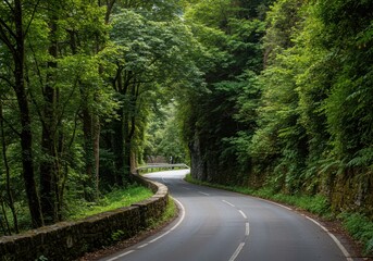 Obraz premium Winding road through a lush green forest tunnel of trees