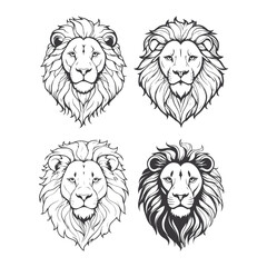 lion vector illustration