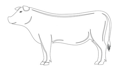 Simple Line Art Cow Illustration