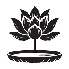 Lotus Flower on Water