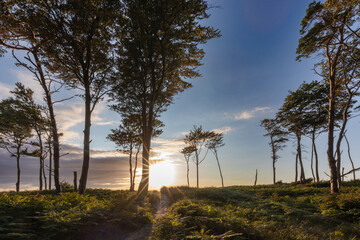 Fototapeta premium Zum Sonnenuntergang am Darßer Weststrand.