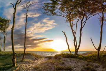 Zum Sonnenuntergang am Dar&szlig;er Weststrand.