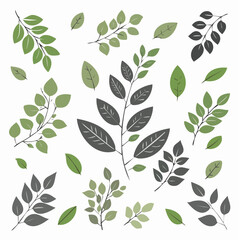 Monochrome minimalistische Blätter und botanische Zweige mit Stielen – Vektorillustration