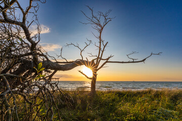 Zum Sonnenuntergang am Dar&szlig;er Weststrand.