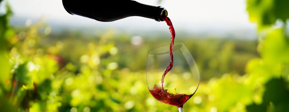 Wine glass with pouring red wine and vineyard landscape in sunny day. Winemaking concept, copy space - Powered by Adobe