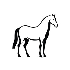 Abstract geometric design with vibrant color palette