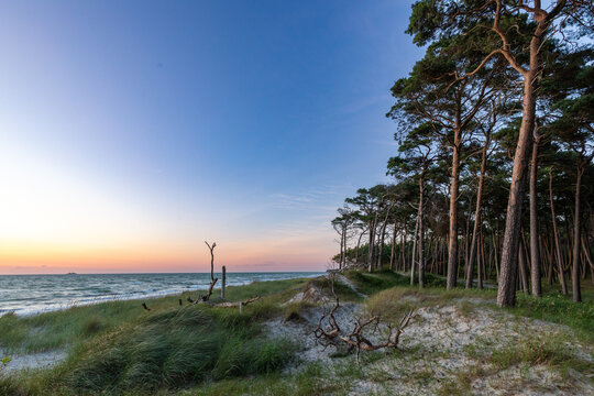 Zum Sonnenuntergang am Dar&szlig;er Weststrand.