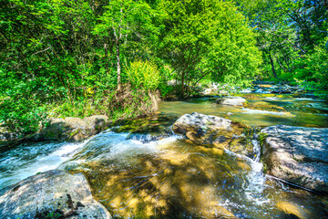 Obraz premium Landscape still shot of the Dure River in Brousse and Villaret in the South of France. Small waterfalls and undergrowth in Occitanie. 