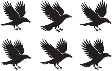 Fototapeta premium A striking series of six black silhouettes of a flying crow or raven. Vector illustration set isolated on a white background.