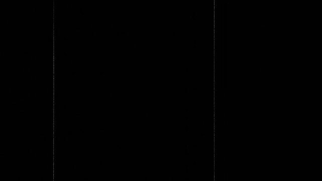 Retro TV Static with Two Vertical Lines and Film Grain